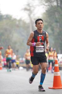 BIB: 84031
                            <button type="button" onclick="openModal(8318315)" class="btn btn-primary btn-sm float-right btn-popup" data-toggle="modal" data-target=".modal-high-quality">
                        <i class="fas fa-shopping-cart"></i> Add to Cart
                    </button>
                                            <button type="button" onclick="isThisMe(8318315, true)" class="btn btn-success btn-sm float-right btn-popup btn-isme hidden" data-toggle="tooltip" data-placement="bottom" title="นี่คือรูปของคุณใช่ไหม คลิกที่นี่เพื่อเอาเข้าอัลบั้ม">
                        <i class="fas fa-plus"></i> Add to album
                    </button>
                    <button type="button" onclick="isThisMe(8318315, false)" class="btn btn-warning btn-sm float-right btn-popup btn-isnotme hidden">
                        <i class="fas fa-ban"></i> Remove from album
                    </button>